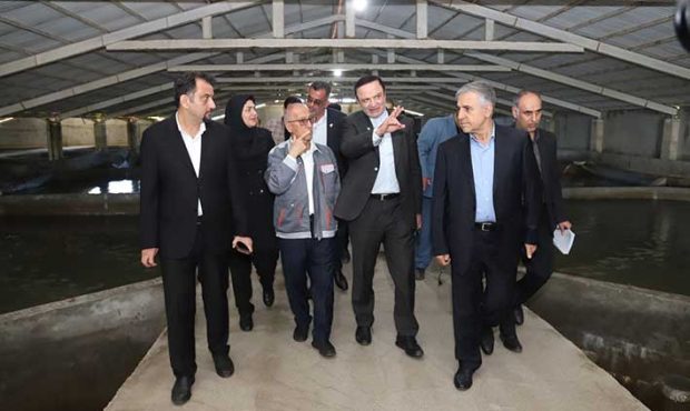 ضرورت حمایت از توسعه صنایع تبدیلی در مناطق آزاد